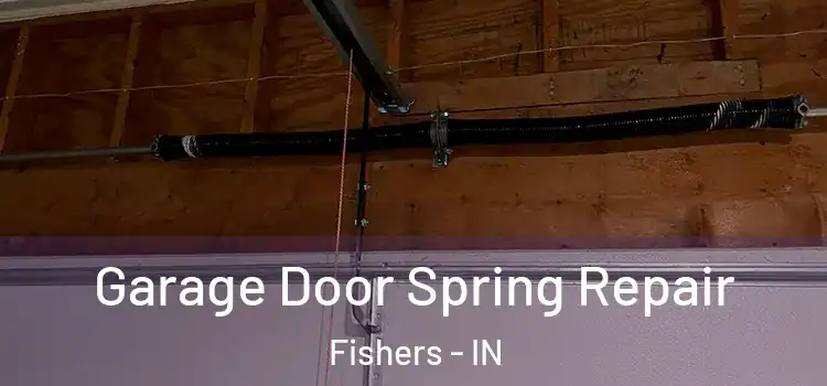  Garage Door Spring Repair Fishers - IN