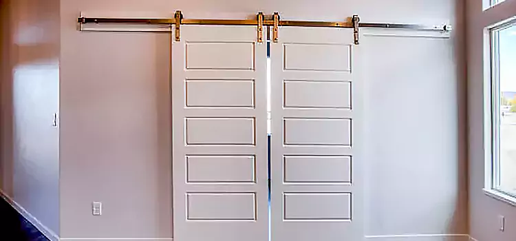 Glass Barn Door with Installation Hardware Kit Fishers