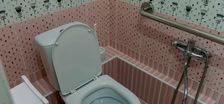 Meeting Diverse Needs With Accessible Restroom Solutions in Fishers, IN