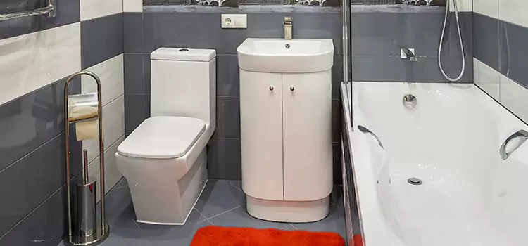 Hansgrohe Shaving Mirror Fishers